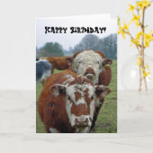 Feldkühe Karte (Gelbe Blume)