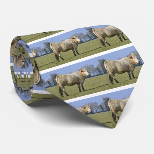 Feldkühe Krawatte (Gerollt)
