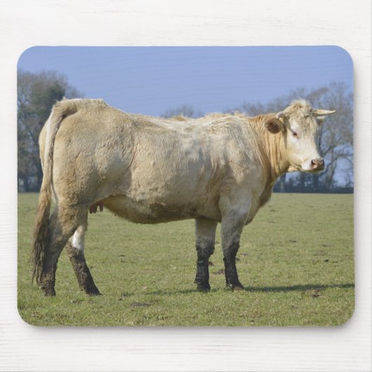 Feldkühe Mousepad (Vorne)