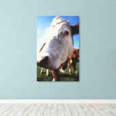 Feldkühe, nah leinwanddruck (Insitu (Holzboden))