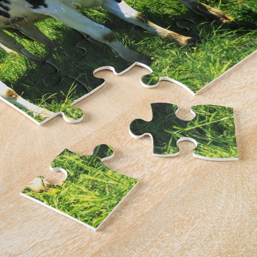 Feldkühe, Stadt Betsukai, Hokkaido Puzzle (Seite)