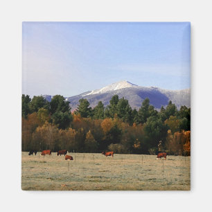 Feldmagnet Adirondack Magnet