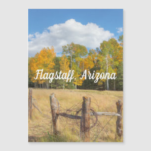 Feldmagnet Magnetkarte