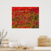 Feldmalerei auf wild lebende Blume - Poster (Küche)