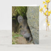 Feldmaus in einem Loch in der Wand Karte (Gelbe Blume)