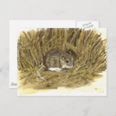 Feldmäuse-Postkarte Postkarte (Vorne/Hinten)
