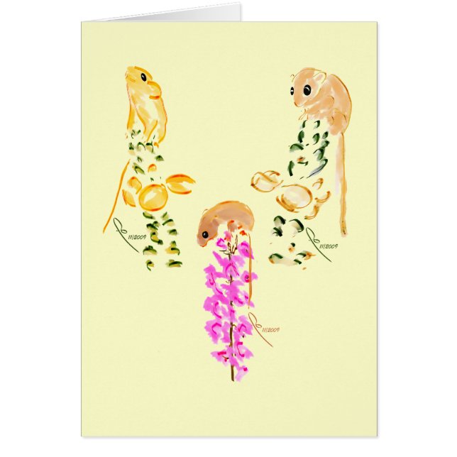 Feldmäusespielen (Vorne)