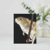 Feldmousdesign Postkarte (Stehend Vorderseite)