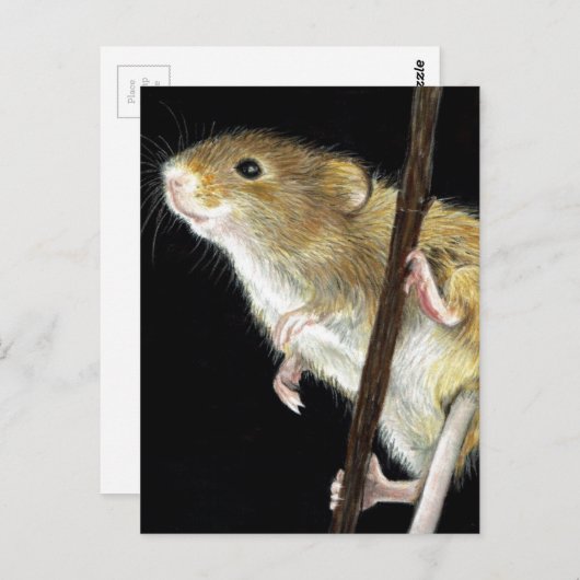 Feldmousdesign Postkarte (Vorne/Hinten)