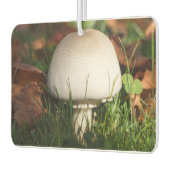 Feldpilz im Wald Autolufterfrischer (Links)