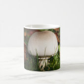 Feldpilz im Wald Kaffeetasse (Mittel)