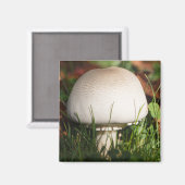 Feldpilz im Wald Magnet (Vorderseite/Rückseite)