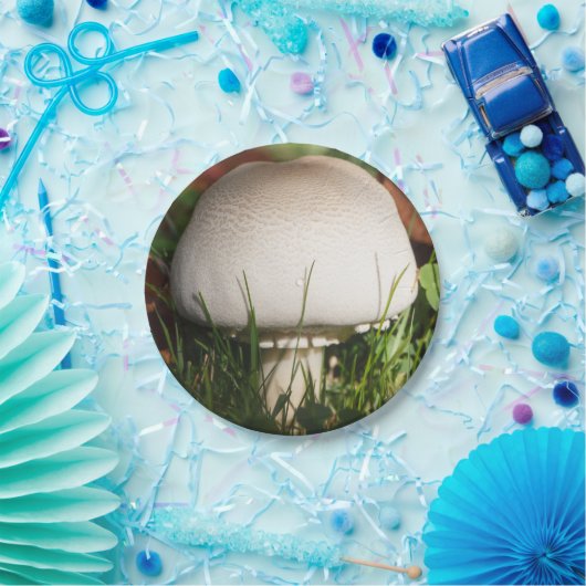 Feldpilz Pappteller (Party)