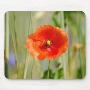 Feldrand eines Maisfeldes mit roten Mohnblumen - F Mousepad