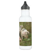 Feldschweine Trinkflasche (Rechts)