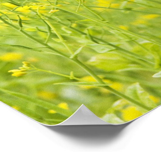 FeldSenf 2 Poster (Ecke)