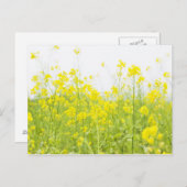 FeldSenf 2 Postkarte (Vorne/Hinten)