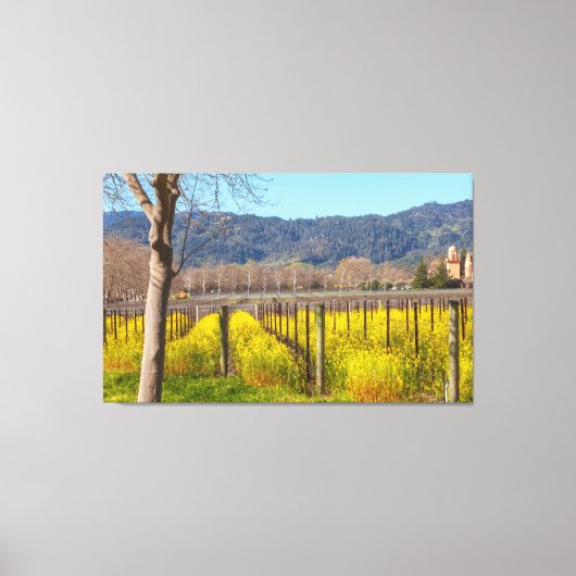 FeldSenf im Weingarten Leinwanddruck (Vorderseite)