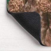 FeldSpaniel Mousepad (Ecke)