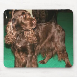 FeldSpaniel Mousepad
