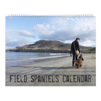 Feldspaniel-Wandkalender Kalender