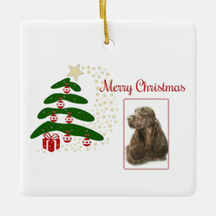 Feldspanisch Keramikornament