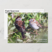 Feldspanner Postkarte (Vorne/Hinten)