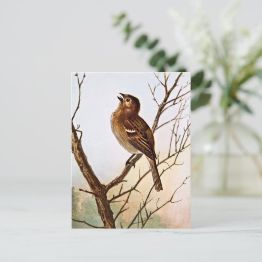 Feldspatzen Postkarte (Stehend Vorderseite)