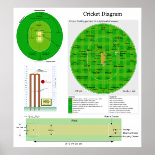 Feldstich und Wicket-Diagramm zur Position der Cri Poster