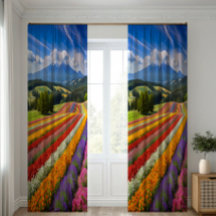 Feldvorhänge der Blume | blühende Wiese