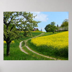 Feldweg am Rapsfeld.Frühling, Maulbronn-"Schmie", Poster