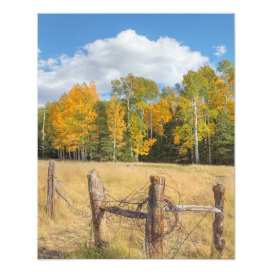 Feldwiese Fotodruck (Vorne)