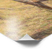 Feldwiese Fotodruck (Ecke)