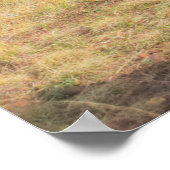 Feldwiese Poster (Ecke)