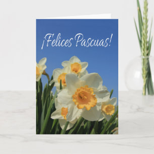 Felices Pascuas spanisch Happy Oaster Feiertagskarte