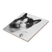 Félicette: Die erste Katze im All Fliese (Seite)