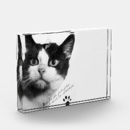 Félicette: Die erste Katze im All Fotoblock