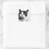 Félicette: Die erste Katze im All Quadratischer Aufkleber (Tasche)