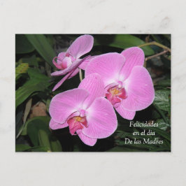 Felicidades dia de las Madres Postkarte
