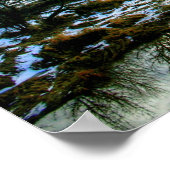 Felida bridge HDR2 Poster (Ecke)