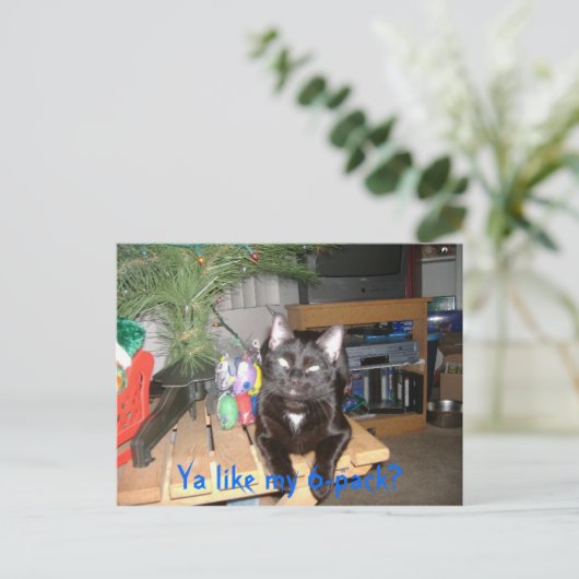 Feline 6-pack postkarte (Stehend Vorderseite)
