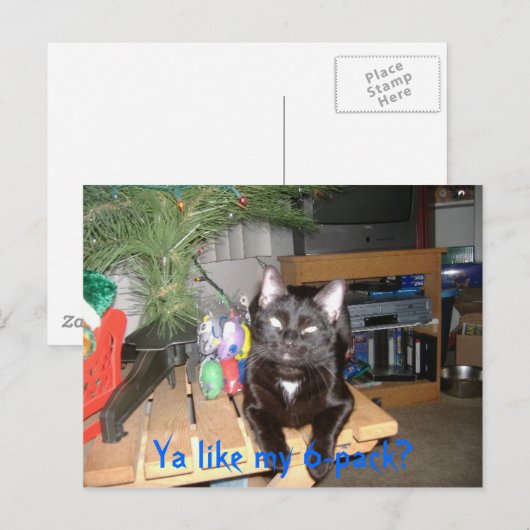Feline 6-pack postkarte (Vorne/Hinten)