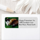 Feline Beauty (Insitu)