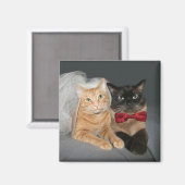 Feline Braut und Bräutigam Magnet (Vorderseite/Rückseite)