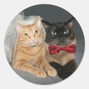 Feline Bride und Groom Runder Aufkleber
