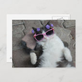 Feline Diva Postkarte (Vorne/Hinten)