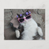 Feline Diva Postkarte (Vorderseite)
