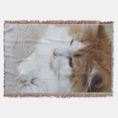 (Feline Extravagant) Kitty Contemplation: Cat Foto Decke (Vorderseite)