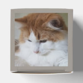 (Feline Extravagant) Kitty Contemplation: Cat Foto Geschenkschachtel (Oben)