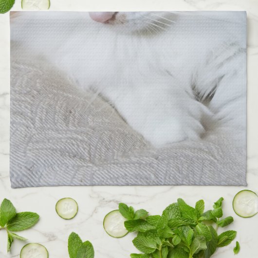 (Feline Extravagant) Kitty Contemplation: Cat Foto Geschirrtuch (Gefaltet)